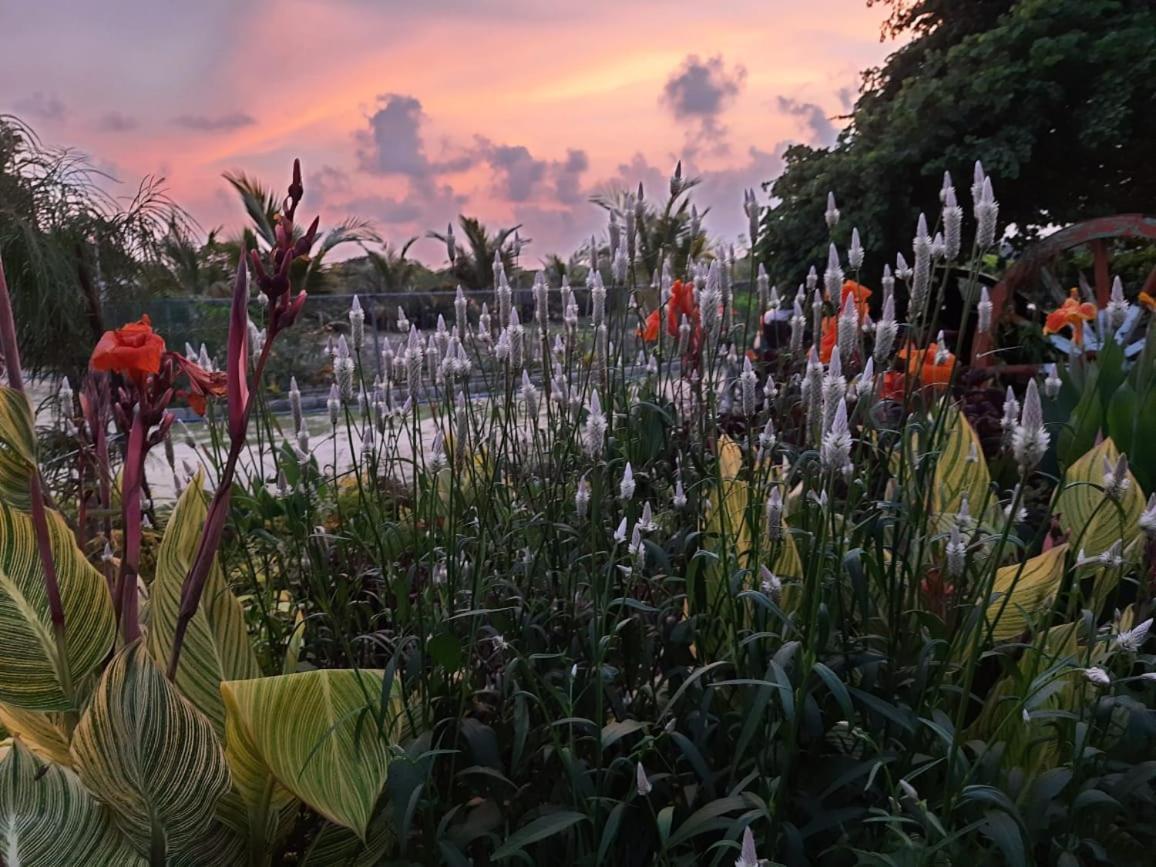 Beach Lagoon Parans Hotel Arugam Bay Bagian luar foto