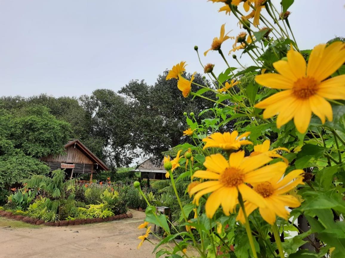 Beach Lagoon Parans Hotel Arugam Bay Bagian luar foto