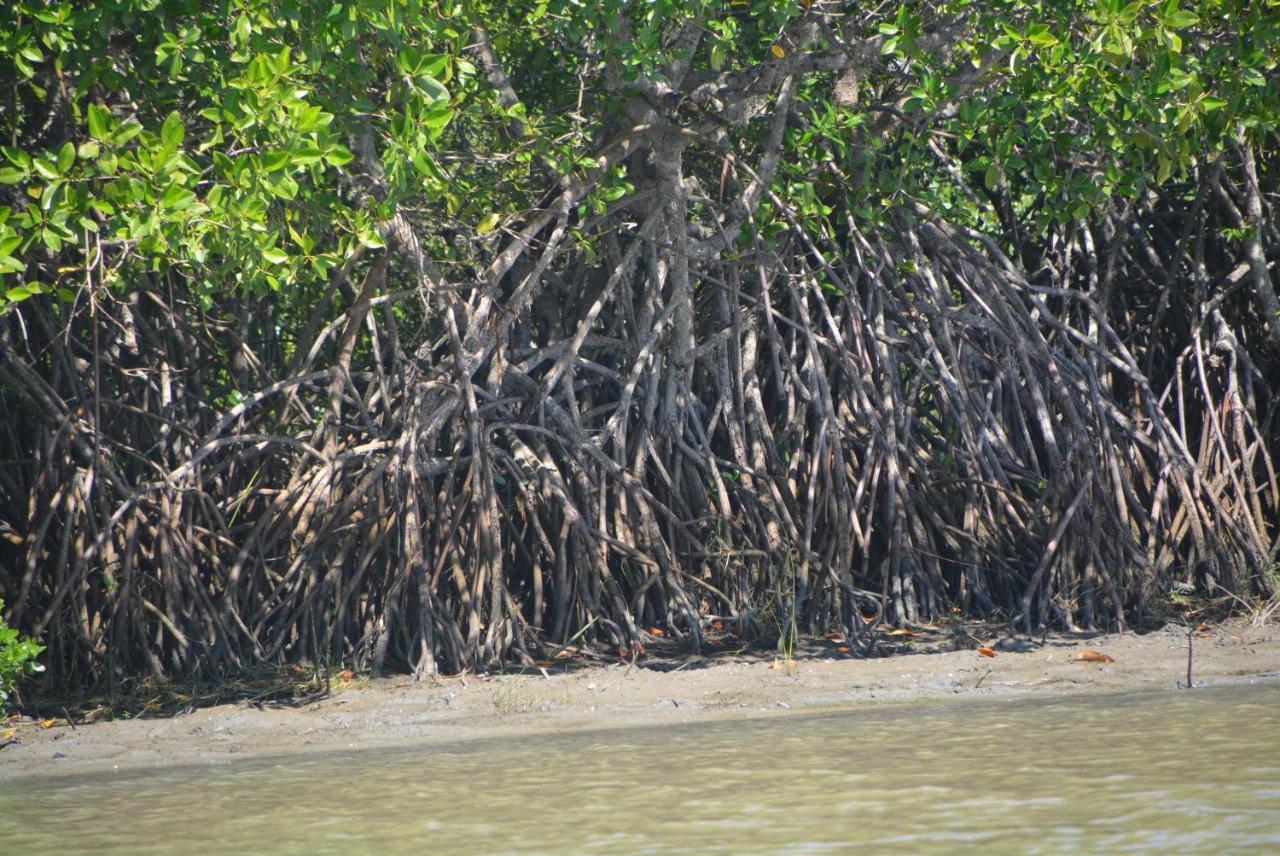 Beach Lagoon Parans Hotel Arugam Bay Bagian luar foto