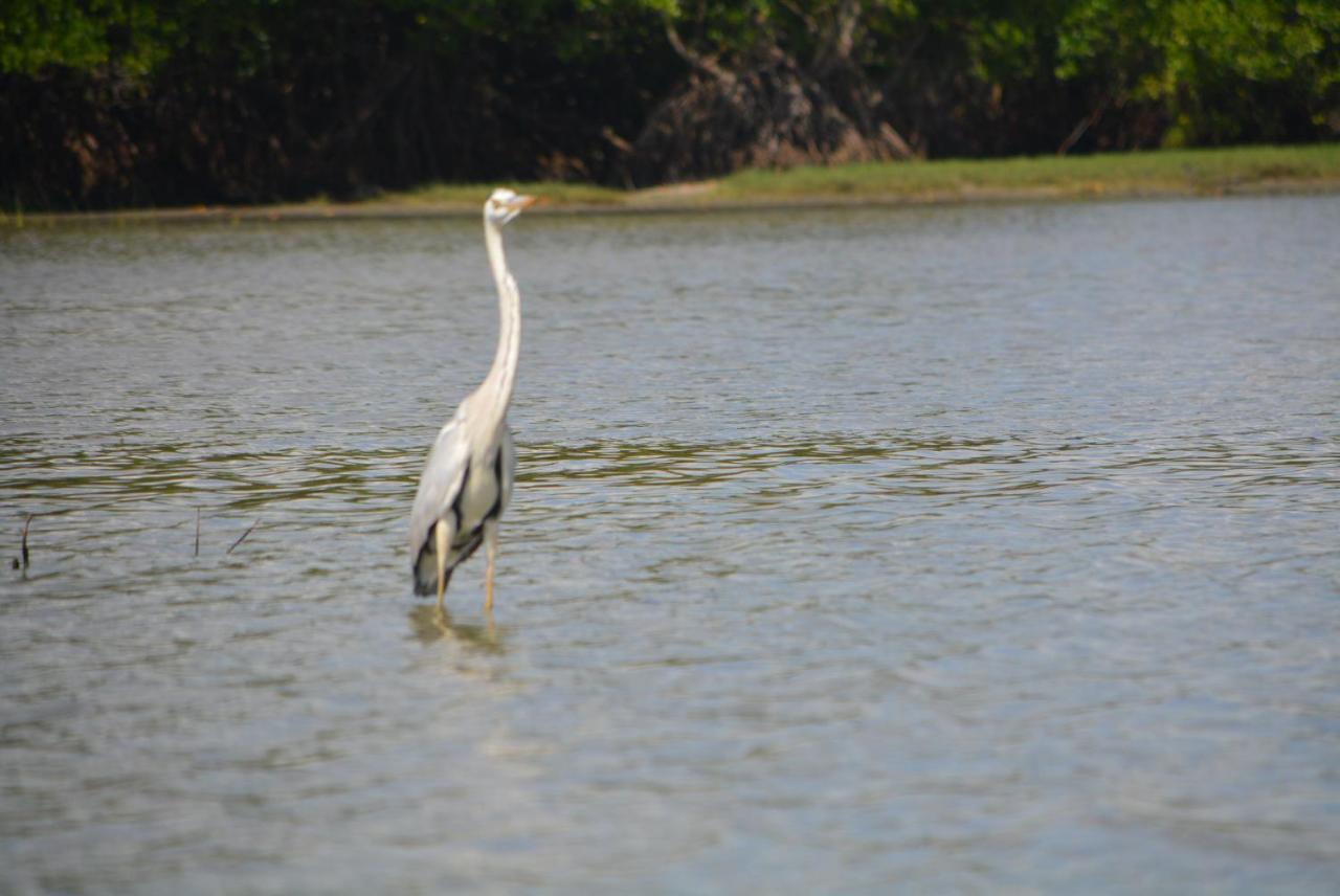 Beach Lagoon Parans Hotel Arugam Bay Bagian luar foto